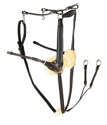 Gallop five point leather - gallop, 5