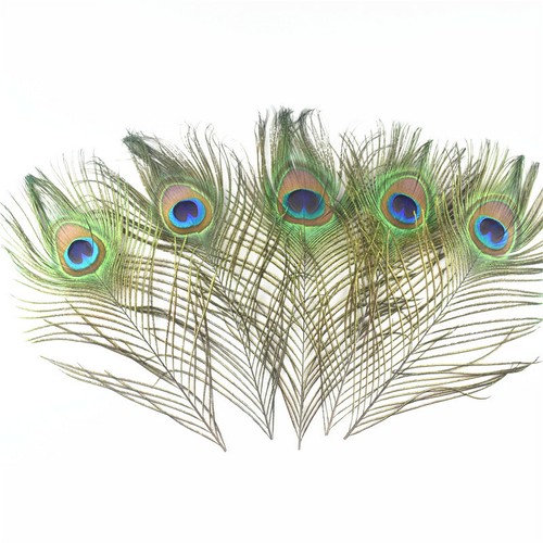 5pcs natural real peacock - natural,