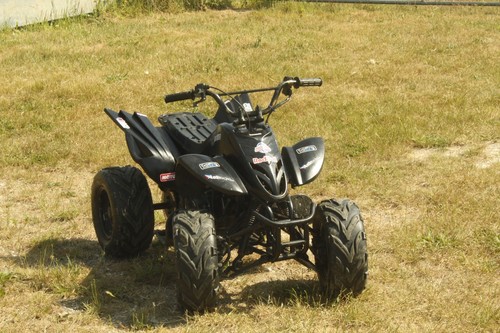 Kazuma falcon kids quad bike