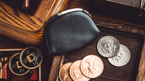 Professional coin purse - professional,