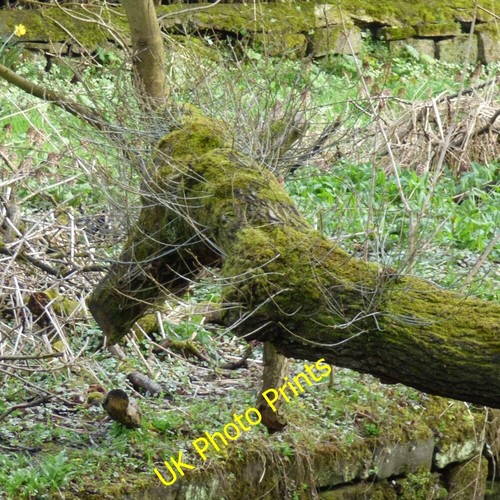 Photo 6x4 nodding donkey - 6x4,