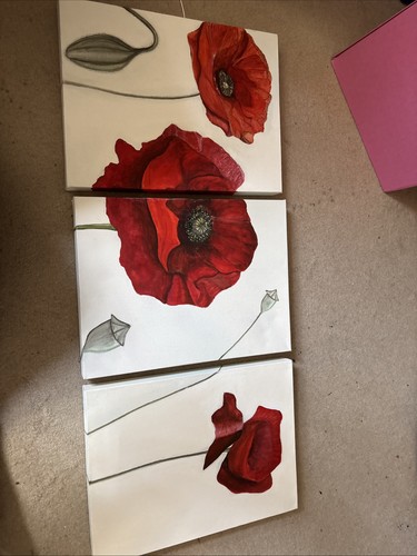 Poppy triptych canvas - canvas, art