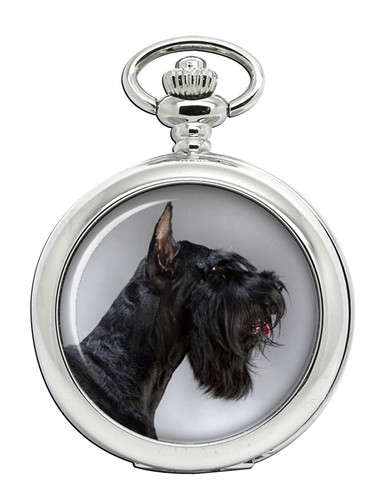 Giant schnauzer pocket - schnauzer, watch