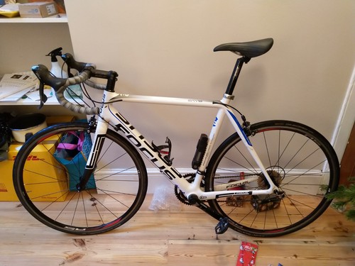 Focus cayo carbon 56cm - carbon,