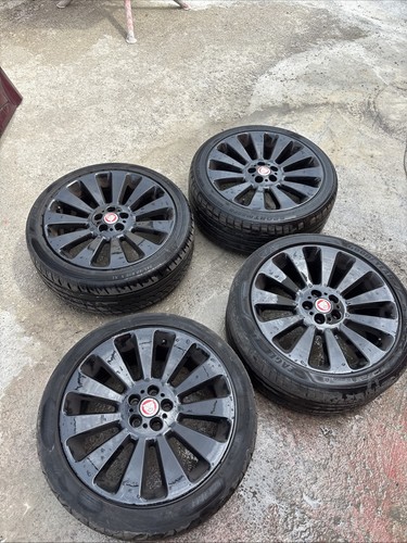 Set jaguar gloss - 4x,