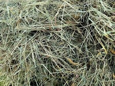 Gorgeous natural meadow hay - gorgeous,