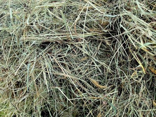 Gorgeous natural meadow - meadow, hay