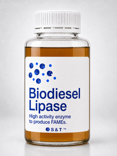 Biodiesel lipase - biodiesel,