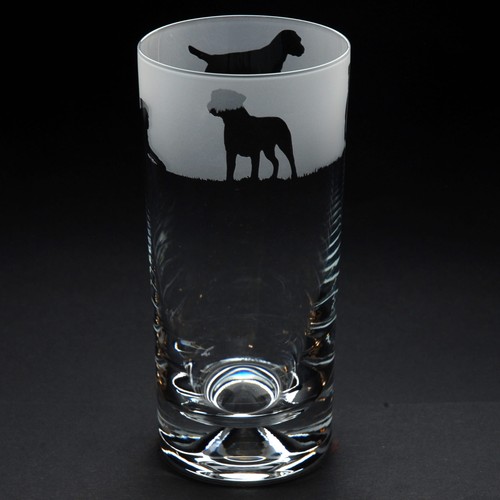 Border terrier dog - border, highball