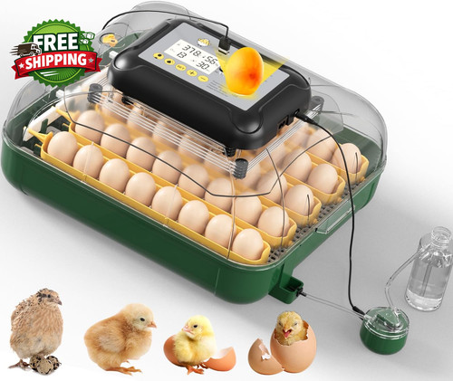 Egg incubator for - 30,