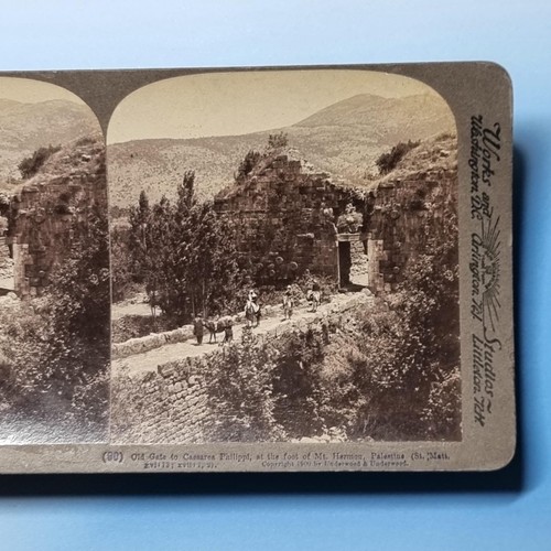Palestine stereoview c1900 - stereoview,