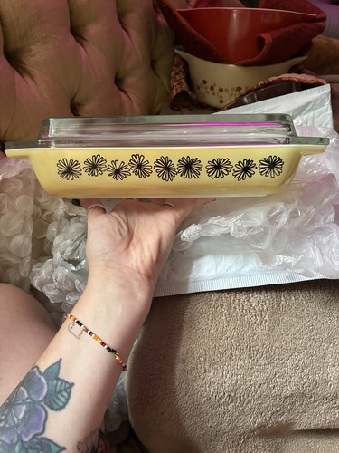 Rare jaj gaiety daisy yellow - jaj,