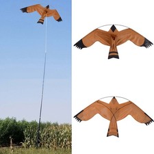 Bird flying kite - bird, huge