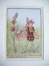 Vintage Flower Fairies Print &