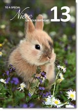 Doodlecards Niece 13th Birthday Card Age 13 Bunny Rabbit