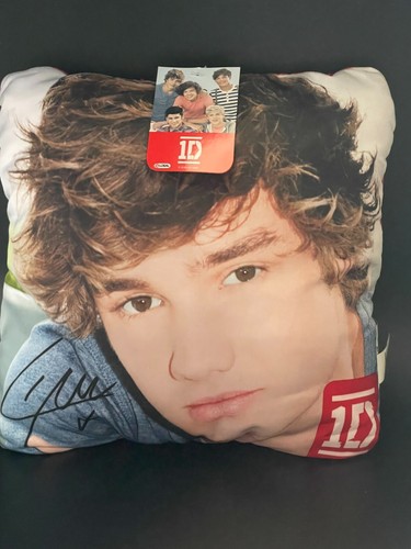 One direction liam payne - one, 1d