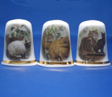 Birchcroft China Thimbles --