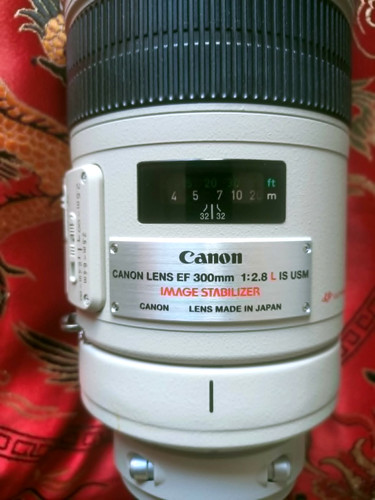 Canon 300 2 8 is - canon,