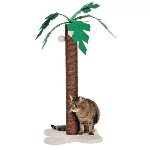 Cat palm tree - palm,