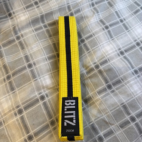 Martial arts belt - arts,