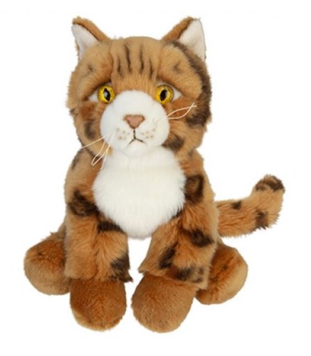 Beautiful bengal cat - cat, soft