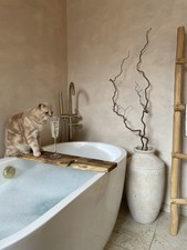 XL Corylus Branches, Real