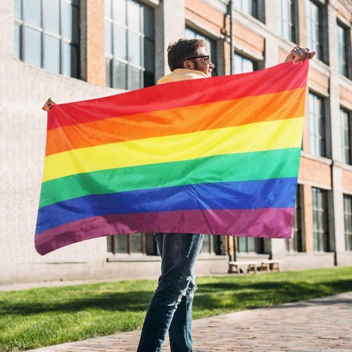 Trixes rainbow flag - flag, gay