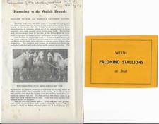 Vintage Welsh Palomino