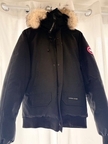 Canada goose chilliwack - canada,