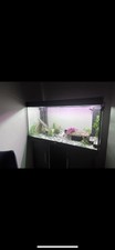 Juwel 350 Fish Tank And Cabnet
