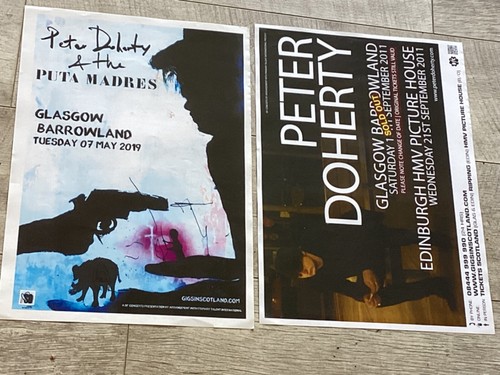 Peter doherty concert - peter,