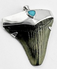 Meg Shark Tooth Pendant –