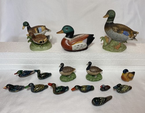 Collection bundle - collection, 15