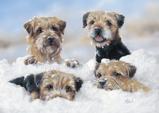 Border Terrier Christmas cards pack of 10 'Four Adrift' by Paul Doyle C730x