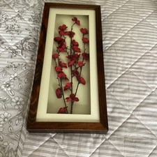 Butifull Framed Wall Art Of Flowers In Wall Hanging Decoration Display Case VGC.