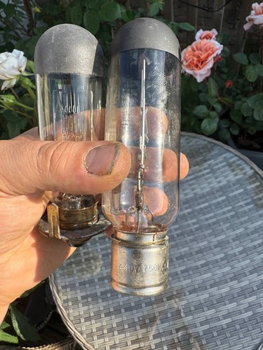 2x750w projector bulbs - bulbs,