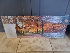 Timmy Mallet limited edition