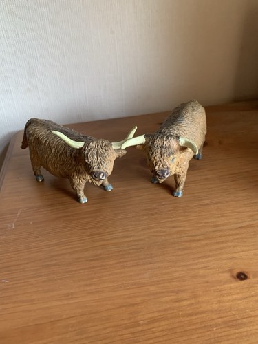 Elc highland bull cow - elc, &
