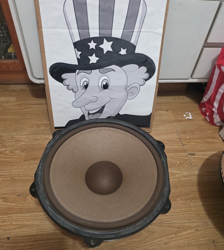385a pioneer woofer - 15”,