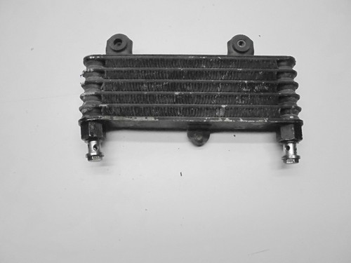 Engine oil cooler radiator - engine,