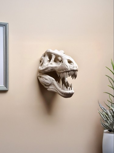 Rex dinosaur skull - dinosaur, wall