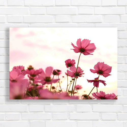 Floral poppy field original - poppy,