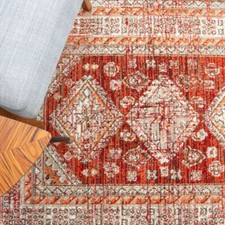 Rust Traditional Rugs Vintage