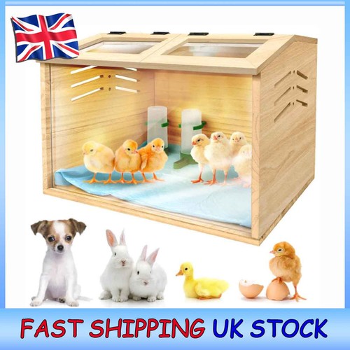 Wooden hamster quail - hamster, enclosure