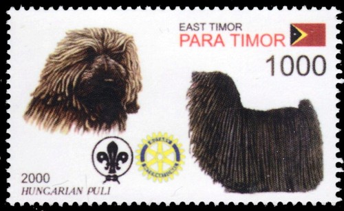 Timor leste 2000o dogs - 2000o, of