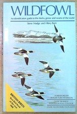 Madge, Steve & Burn, Hilary