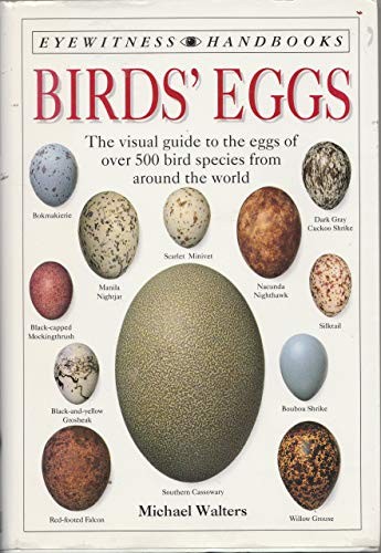 Birds eggs eyewitness - birds,
