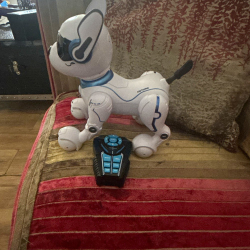 Remote control robot dog - control, toy