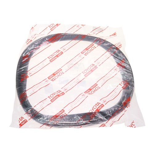 Rear windshield weatherstrip - rear,