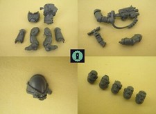 Space Marine Primaris